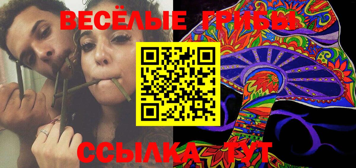 Галлюциногенные грибы Magic Shrooms  Галлюциногенные грибы прущие грибы  Энгельс  Вход с VPN 