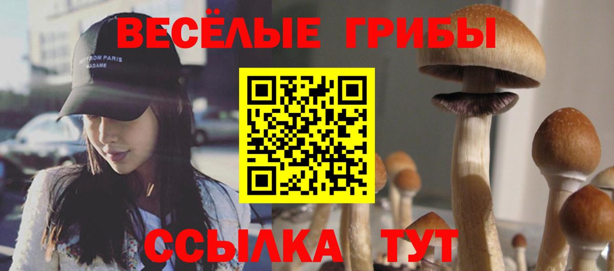Псилоцибиновые грибы прущие грибы Энгельс